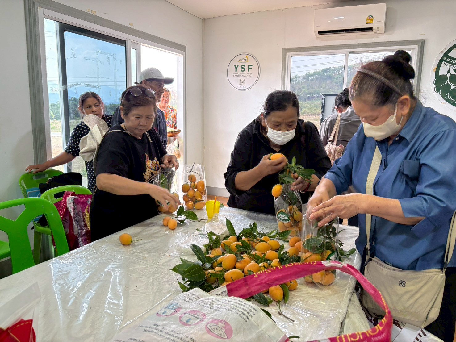 title - ส.ป.ก.นครปฐม จัดโครงการที่ดินพระราชทานในเขตปฏิรูปที่ดินจังหวัดนครปฐม ปีงบประมาณ พ.ศ. 2569 หลักสูตร การจัดการที่ดินและระบบการผลิตที่มีประสิทธิภาพ เพื่อเพิ่มโอกาสด้านการท่องเที่ยว ระยะที่ 3